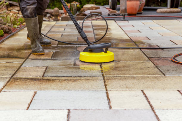 Best Animal Enclosure Cleaning  in Foscoe, NC